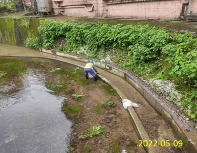 南榮河水質提升現地處理及沿岸水環境營造施工進度